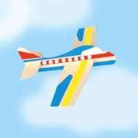 Vliegtuig hout | Playbox | 12 stuks