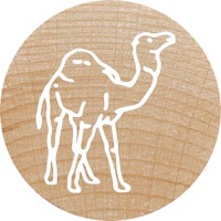 Stempelset | Colop | Exotische dieren | 12 stuks