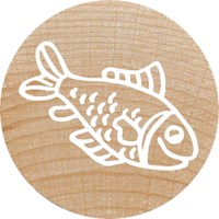 Stempelset | Colop | Exotische dieren | 12 stuks