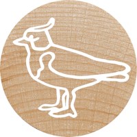 Stempelset | Colop | Exotische dieren | 12 stuks