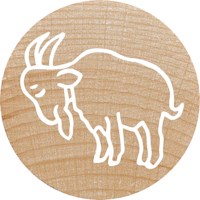 Stempelset | Colop | Boerderij dieren | 12 stuks