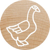 Stempelset | Colop | Boerderij dieren | 12 stuks