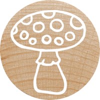 Stempelset | Colop | Mix assorti | 12 stuks