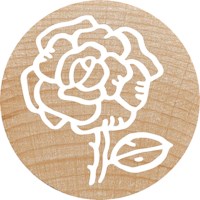 Stempelset | Colop | Mix assorti | 12 stuks