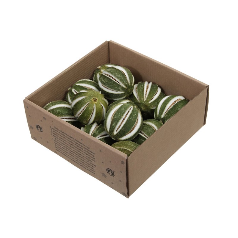 Gedroogd fruit | Sinaasappel | Groen | 9 stuks
