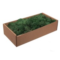 Mos Finnlands | Groen | 500 gram