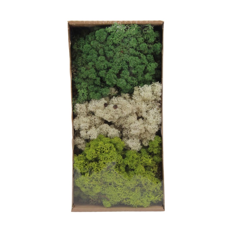 Mos rendier | Assorti | 500 gram