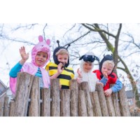 Verkleedkleding | Bij | Vest