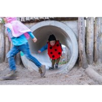 Verkleedkleding | Lieveheersbeestje | Vest