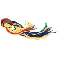 Vetrovorm - rijgveters | Educo | Aanvulset | 24 stuks | RIJGWERK.