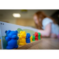 Beersorteerspel | Educo | Spelkist | TOONBEELD.