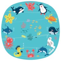 Uitbreidingsset | Timio | Set 2