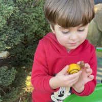 Sensorische stenen | Yellow door | Insecten