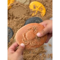 Sensorische stenen | Aan de kust