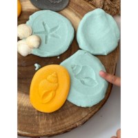 Sensorische stenen | Aan de kust