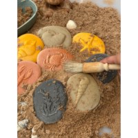 Sensorische stenen | Aan de kust