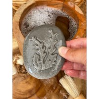 Sensorische stenen | Aan de kust