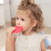 Sensorische stapelcactus