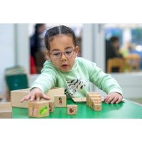 Levenscyclusblokken | Educo | Speelset | PLOT.