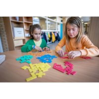 Pentominos | Educo | Speelset | 60 elementen | FIGUURLIJK.