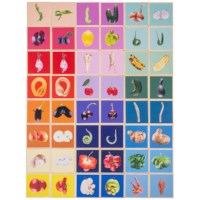 Grappige groentjes - voedsel met een draai | Educo | Speelset | WOORDLINK.