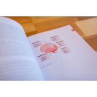 De Kleutervriendelijke School