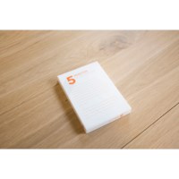 5 minuten leidinggeven