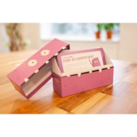 Boekie de boekverslinder