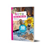 Grej of the day | Middenbouw