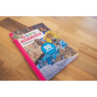 Grej of the day | Middenbouw