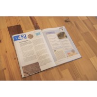 Grej of the day | 50 landen