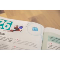 Grej of the day | Onderbouw