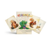 Veerkracht & kaartenset