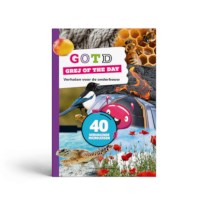 Grej of the day | Verhalen voor de onderbouw