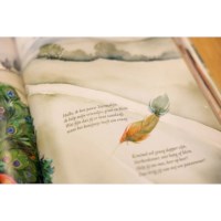 Kruimel - serie Veerkracht