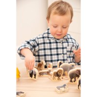 Wilde dieren | Hout | 2D | Set à 15 stuks