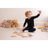 Dino's | Hout | 2D | Set à 12 stuks