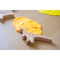 Dino's | Hout | 2D | Set à 12 stuks