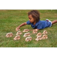 Auto's | Hout | Set à 12 stuks