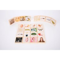 Levenscyclusspel | Tickit | 24-delig