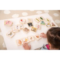 Levenscyclusspel | Tickit | 24-delig