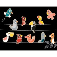 Vogels magneten | 24-delig