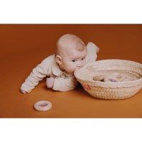 Sensorische donut | Druiven