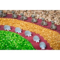 Sensorische fles | Bos