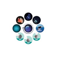 Projector | Kidywolf | Groen