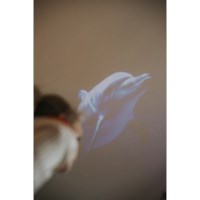 Projector | Kidywolf | Groen