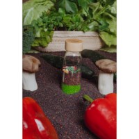 Sensorische fles | Groente