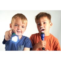 Zaklampen | Tickit | Set à 12 stuks