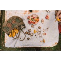 Paddenstoelen | Grapat | 18-delig