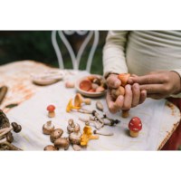 Paddenstoelen | Grapat | 18-delig